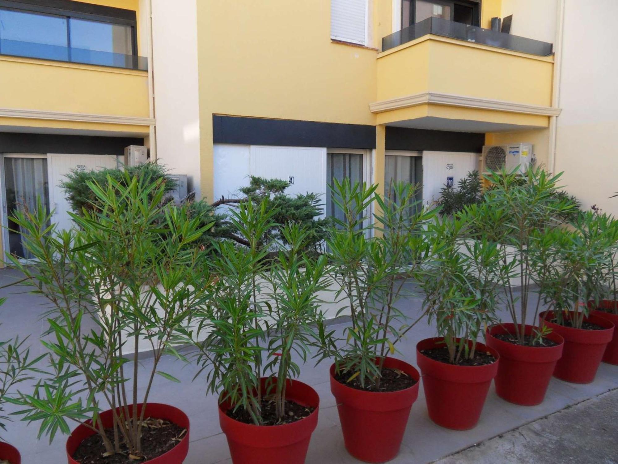 Brit Opal Centre Port Agde